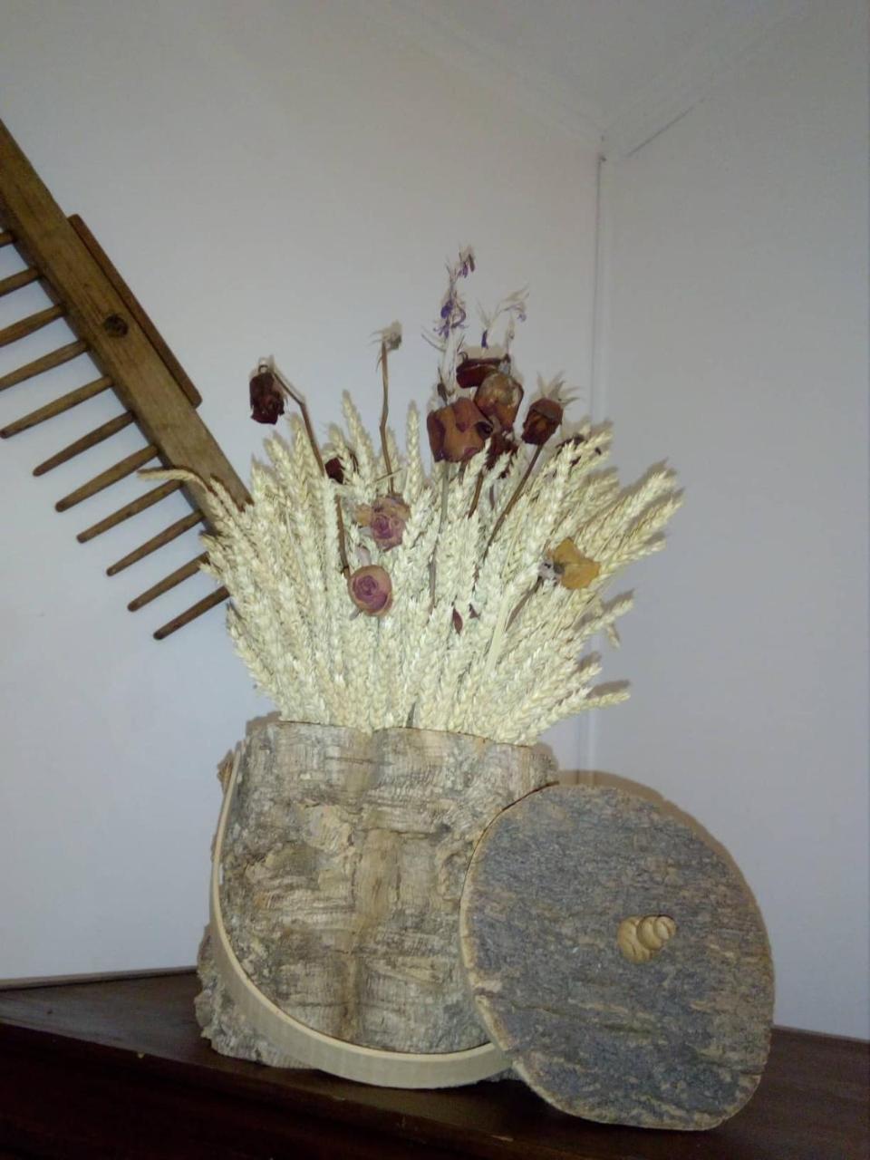 Mourão Casa Esquivelヴィラ エクステリア 写真